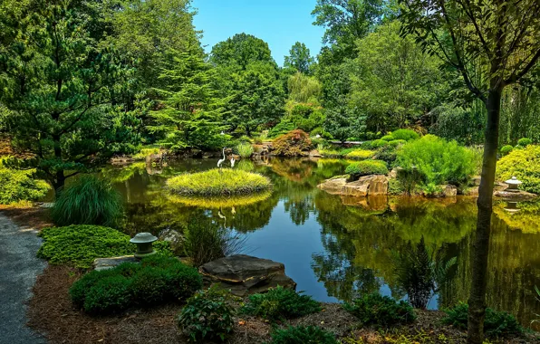 Картинка зелень, вода, деревья, пруд, парк, камни, США, Ball Ground