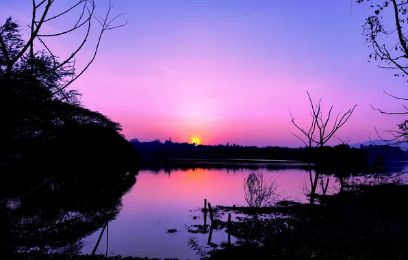 Sun, Water, Sunrise, Dawn, Morning, Lake, Trees, Reflection