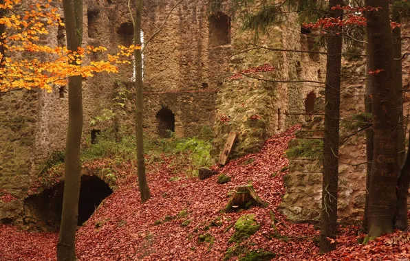 Картинка осень, лес, руины