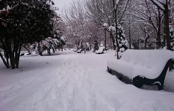 Snow, lake, KanArti, Erevan