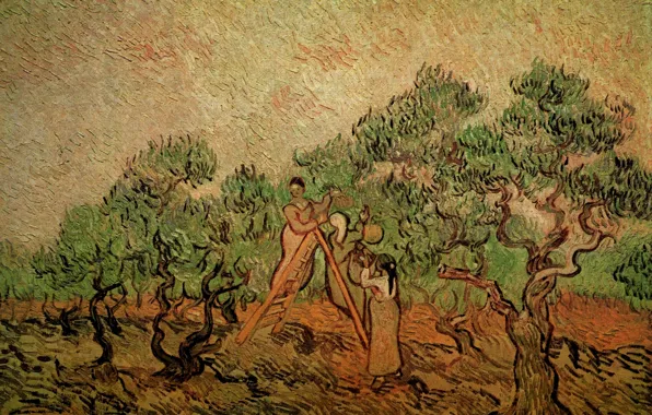 Картинка деревья, лестница, две девушки, Vincent van Gogh, собирают плоды, Olive Picking 3