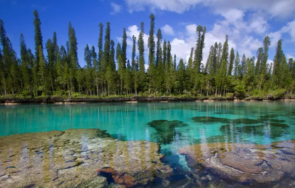 Тихий океан, Новая Каледония, остров Пинос