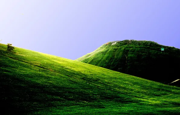 Зелень, горы, холмы, поля