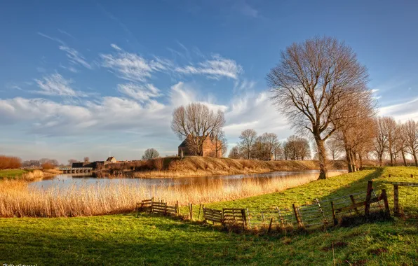 Картинка свет, деревья, природа, река, Нидерланды, Голландия