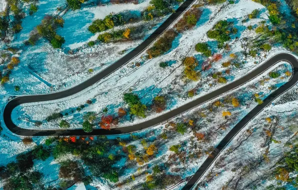 Картинка дорога, снег, деревья, пейзаж, природа, местность, шоссе, вид сверху