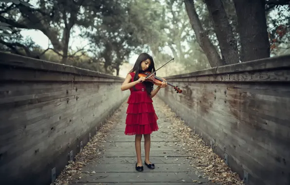 Картинка скрипка, девочка, The Violinist