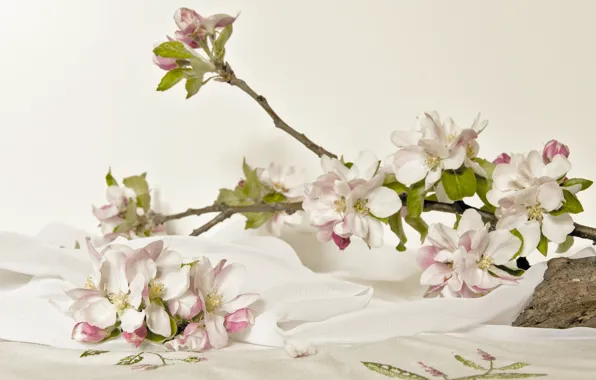 Цветы, Цветение, Цветущие Ветки, Apple Blossom