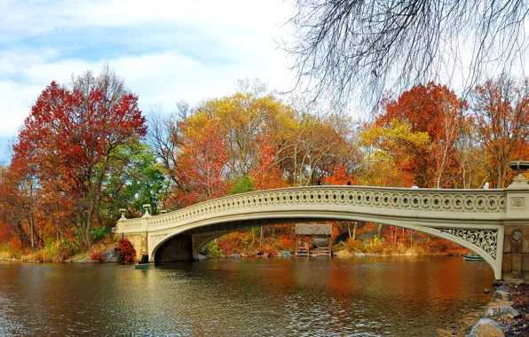 Осень, листья, деревья, мост, парк, река, landscape, nature