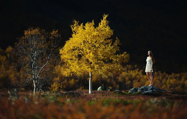 Осень, девушка, дерево