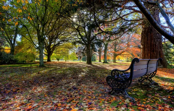 Картинка осень, листья, деревья, скамейка, парк, Новая Зеландия, New Zealand, Blenheim