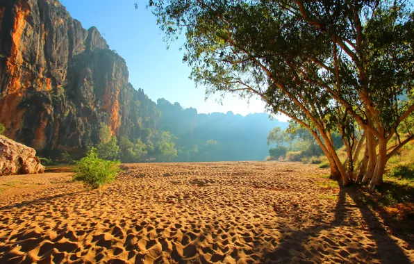 Песок, деревья, скалы, Австралия, ущелье, Windjana gorge, The Kimberley in Western Australia