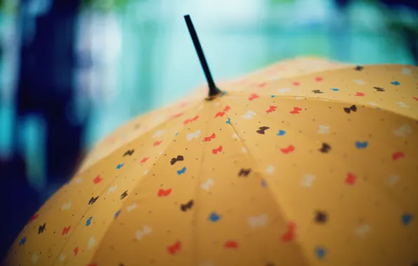 Рисунок, зонт, бантики