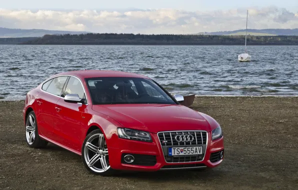 Картинка Audi, Sportback