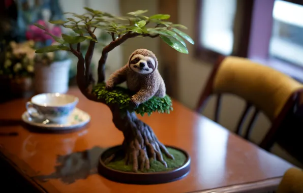 Картинка animals, sloths, bonzai