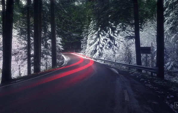 Дорога, лес, свет, снег, выдержка