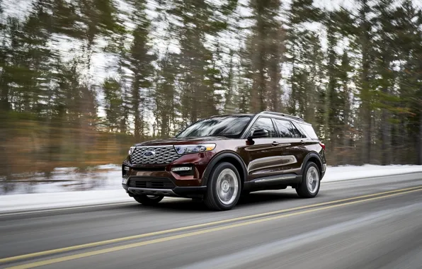 Лес, Ford, SUV, Explorer, Platinum, 2020