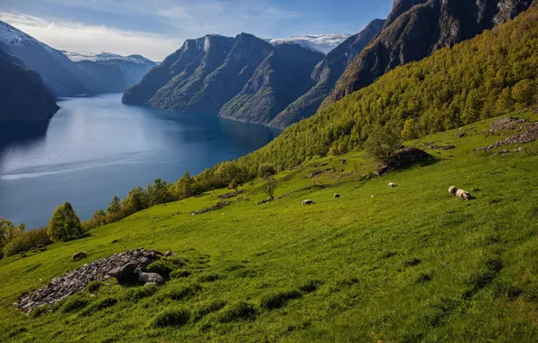 Картинка горы, Норвегия, фьорд, Sogn og Fjordane