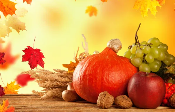 Картинка осень, листья, грибы, яблоко, тыква, фрукты, овощи, калина