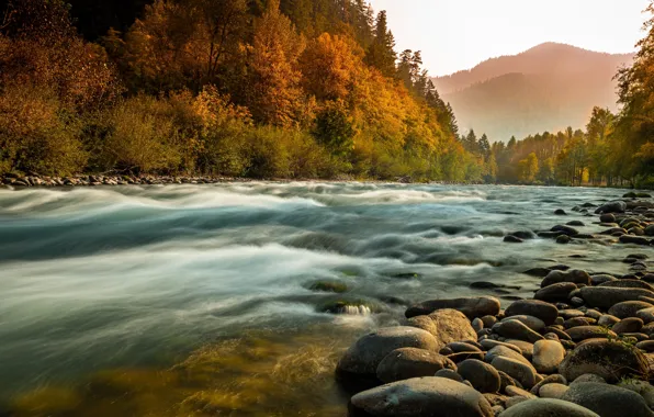 Картинка осень, лес, пейзаж, природа, туман, река, камни, берега