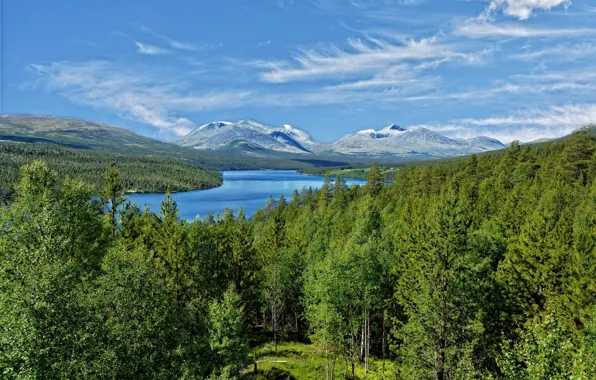 Зелень, Небо, Горы, Лес