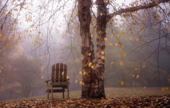 Картинка осень, пейзаж, туман, дерево, кресло