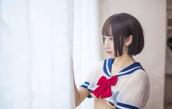 Beautiful, Asian, Model, Woman, Pretty, Curtain, Shorthair