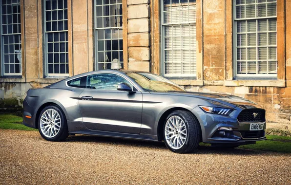 Машина, авто, серый, фары, здание, окна, Mustang, Ford