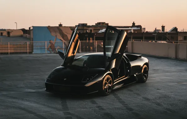 Картинка Black, Murcielago, Evening