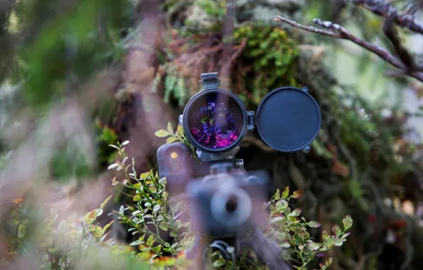 Оружие, армия, солдат