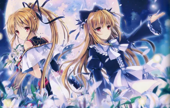 Ночь, лилии, двое, полнолуние, длинные волосы, art, visual novel, cynthia marguerite