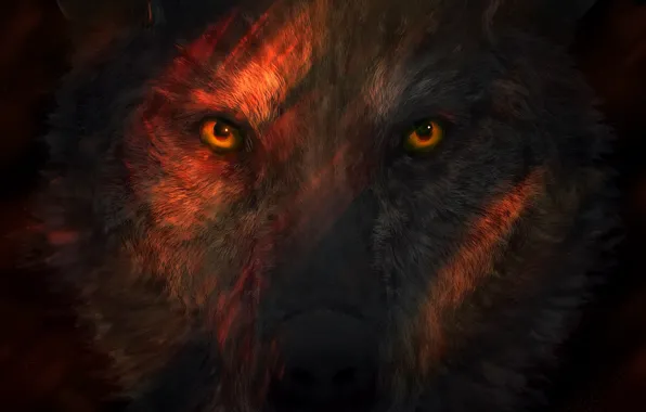 Взгляд, Глаза, Волк, Морда, Арт, Art, Wolf, Eyes