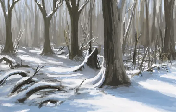 Картинка зима, лес, снег, деревья, природа, арт, тени