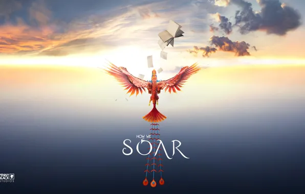 Game, sky, bird, wings, kumo, Virual Reality, Penny Black Studios, Soar