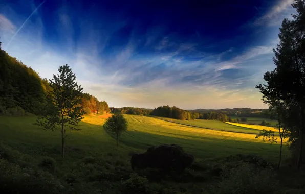 Картинка grass, landscape, nature, tree