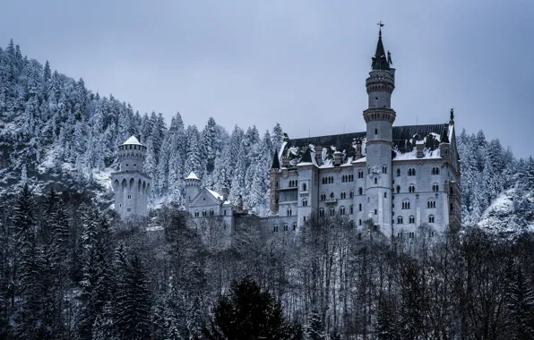 Картинка зима, лес, замок, Германия, Бавария, Germany, Bavaria, Neuschwanstein Castle