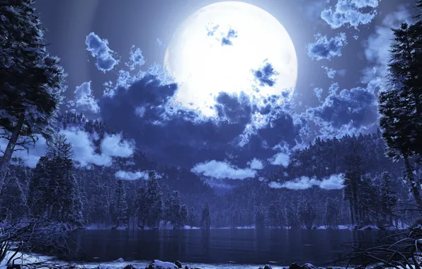 Картинка лес, ночь, природа, озеро, луна