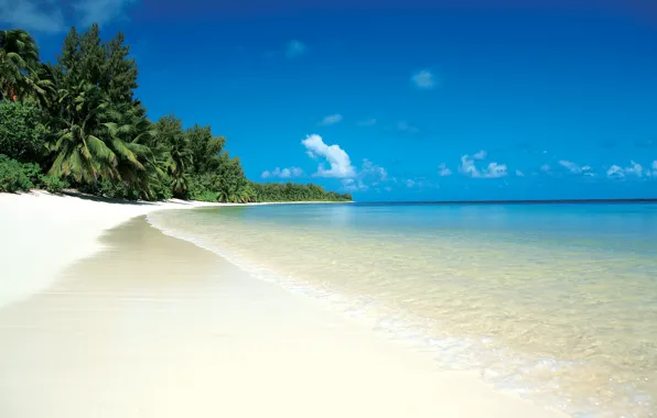 Картинка песок, море, пляж, облака, тропики, пальмы