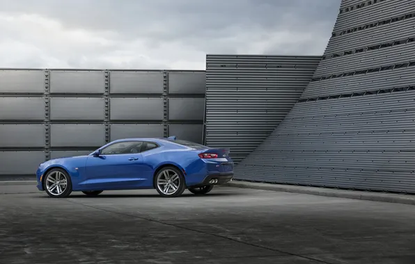 Картинка Chevrolet, Camaro, шевроле, камаро, 2015