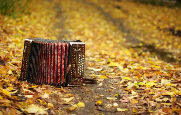 Осень, листья, музыкальный инструмент, гармонь