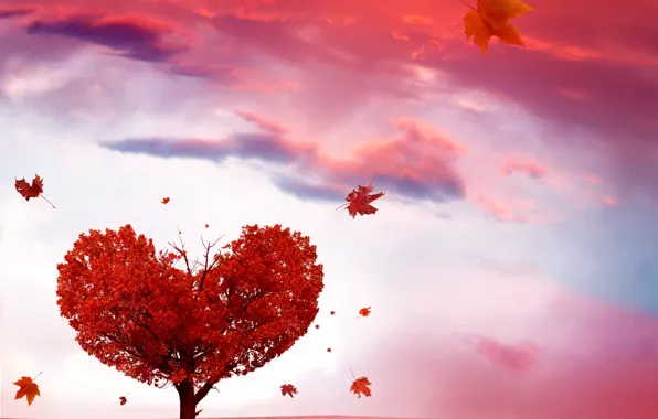 Картинка осень, листья, дерево, сердце
