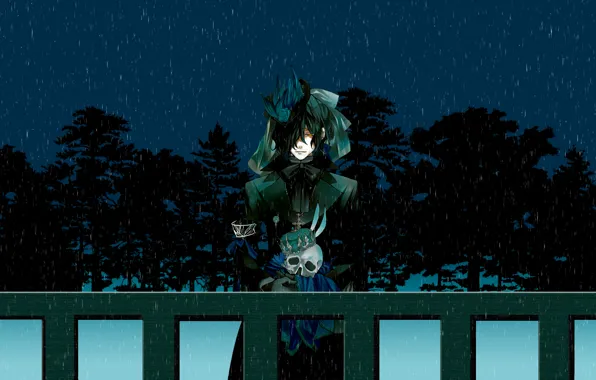 Ночь, череп, демон, Pandora hearts, черная магия, Gilbert Nightray
