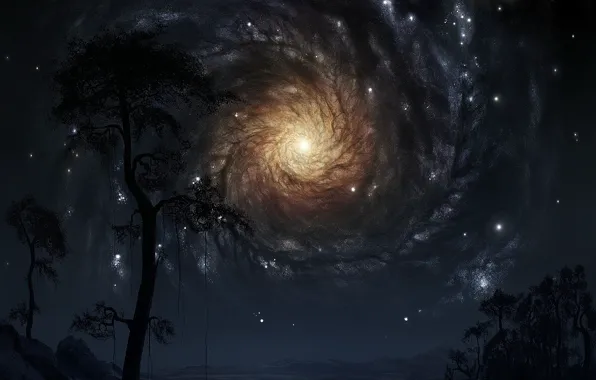 Картинка звезды, Деревья, галактика