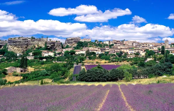 Fields, hill, lavender, town