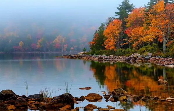 Картинка осень, лес, небо, листья, вода, деревья, горы, природа