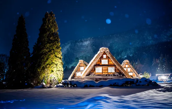 Картинка зима, снег, деревья, горы, ночь, огни, дом, Япония