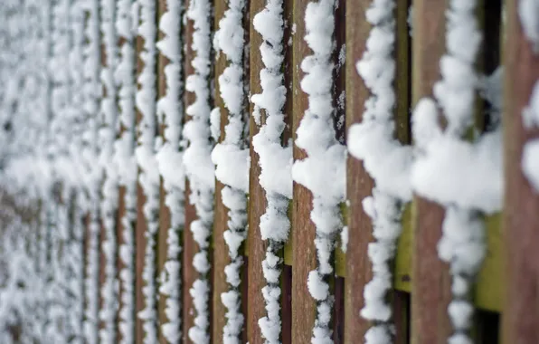 Картинка макро, снег, забор