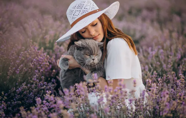Кошка, лето, кот, взгляд, морда, девушка, цветы, поза