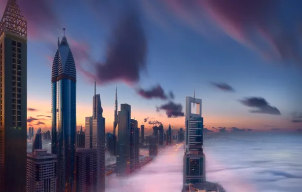 Город, туман, утро, Дубаи, ОАЭ