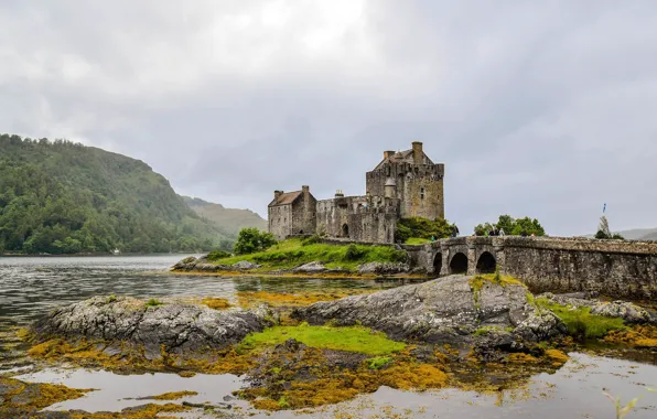 Лес, горы, мост, озеро, замок, Шотландия, Eilean Donan