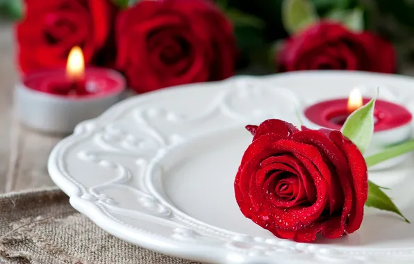 Капли, цветы, капельки, роза, свечи, бутон, тарелка, красная
